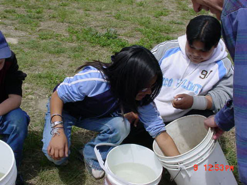 Kids with bucket on grassy land