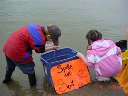 Kids with bucket in water