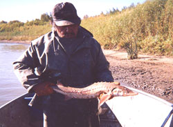 Man holding sturgeon in a boat